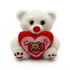 Stuffed Animals Sweet Heart Red Soft Happy Valentine's Day Plush Teddy Bear Gifts for Girls