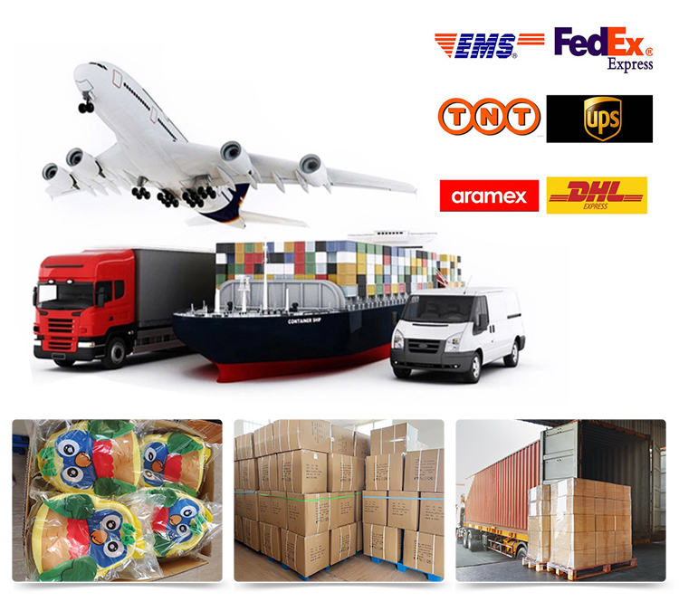 Transport & Payment